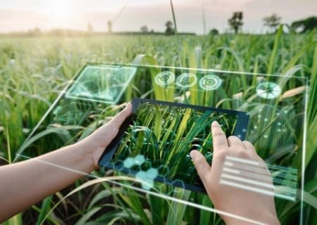 AI-Driven Personalization in Farming Campaigns Real Examples and Best Practices